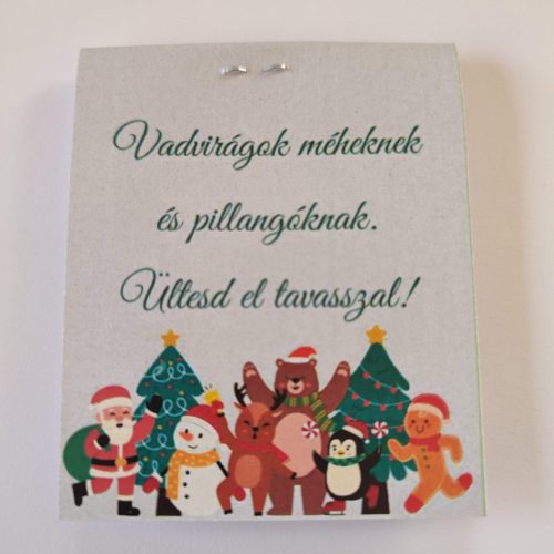 Virágmagos csomagocska Karácsonyra, 17