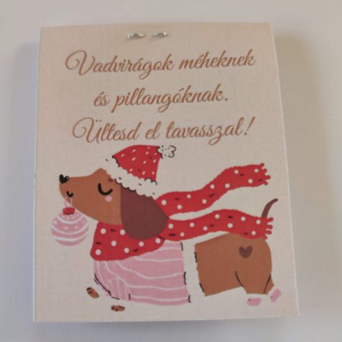 Virágmagos csomagocska Karácsonyra, 22